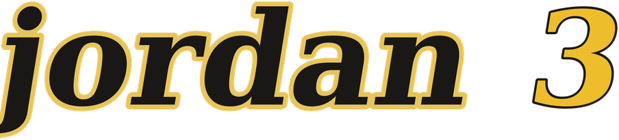 jordan 3 logo
